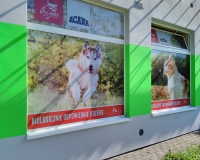 Montaż folii na witrynie